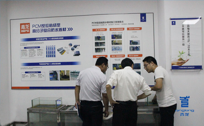 青龍營銷總監周總為客人講解PCM反應粘卷材防水原理 防水材料