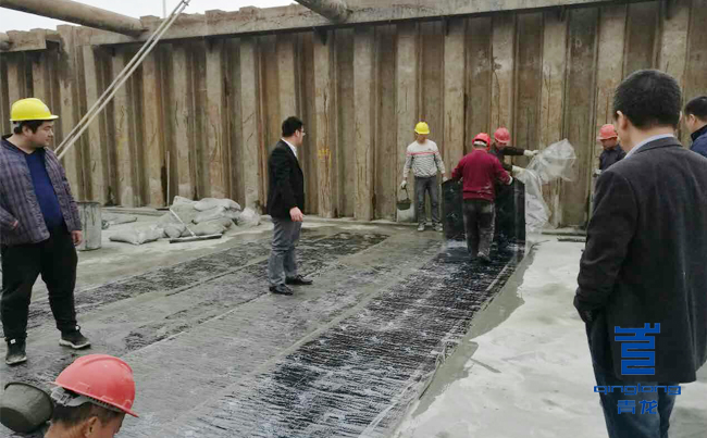 青龍技術(shù)部現(xiàn)場指導(dǎo)防水施工 防水卷材