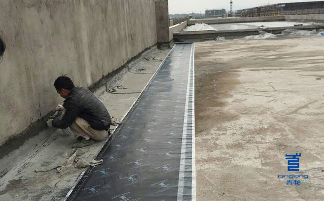 青龍防水材料應用在贛州信豐國際物流城 防水材料