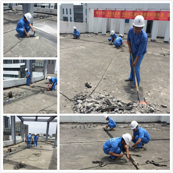 青龍代理商進駐吳江盛虹紡織創業園維修工程 江蘇防水