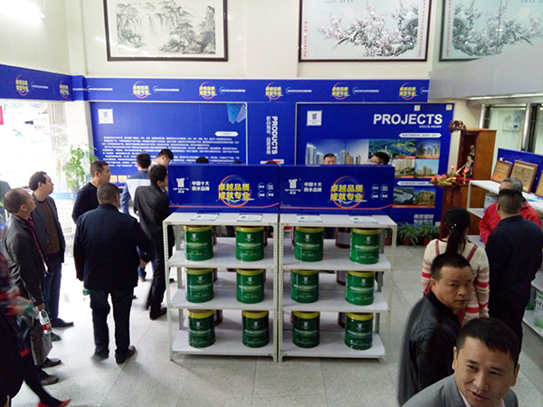 青龍珠海防水材料專賣店 防水材料